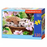 Puzzle pentru copii Castorland Springtime 120 piese