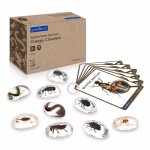 Pietre din acril cu creaturi taratoare Specimen Stones