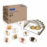 Pietre din acril cu fosile Specimen Stones