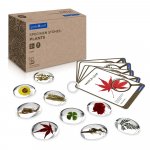 Pietre din acril cu plante Guidecraft Specimen Stones